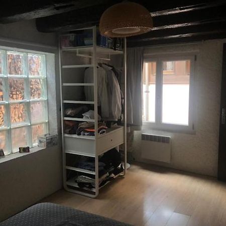 Ferienwohnung Le Secret Des Tanneurs Colmar Exterior foto