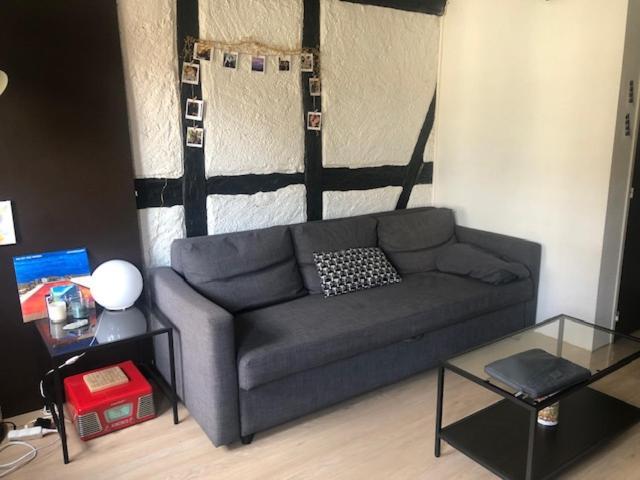 Ferienwohnung Le Secret Des Tanneurs Colmar Exterior foto